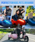 Blazing Fast 4000 Watt Electric Bike With 60 Volt Battery And Badass Removable Sidecar For Kids Or Pets, showcasing kids, pets, and cargo use.