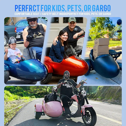 Blazing Fast 4000 Watt Electric Bike With 60 Volt Battery And Badass Removable Sidecar For Kids Or Pets, showcasing kids, pets, and cargo use.