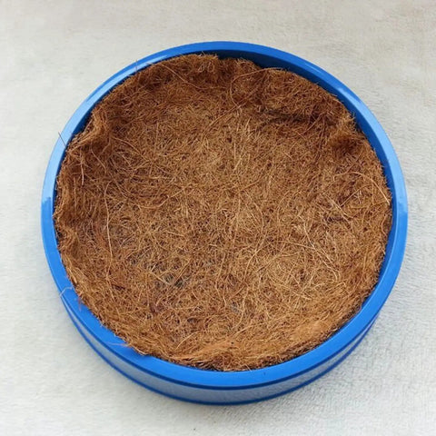10 Pcs Pigeon Nest Pads Coconut Fiber Bird Nest Mats for Loft Breeding Egg Nests in blue plastic bowl