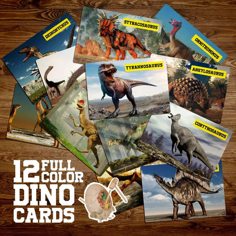 12 dinosaur cards from Jumbo Dino Egg Dig Kit With 12 Surprising Dino Toys Hands On STEM Adventure For Kids Aged 5 To 7