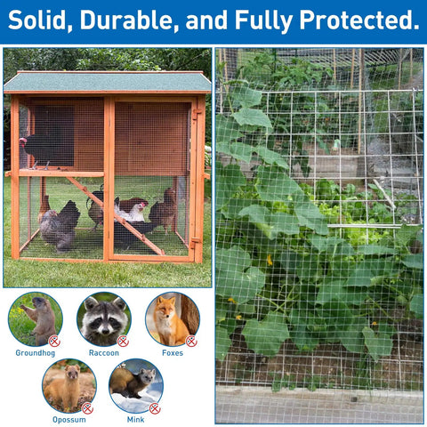Rock Solid Galvanized Hardware Cloth 1/2 Inch Chicken Wire Fence 15.7 X 10 Feet enclosing chickens in a wooden coop.