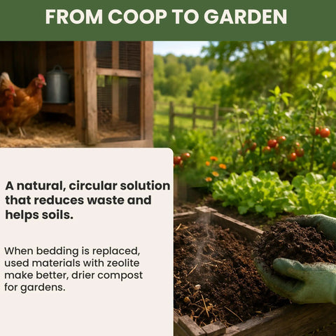 Natural solution from chicken coop to garden with compost made from bedding using all natural chicken coop odor eliminator.