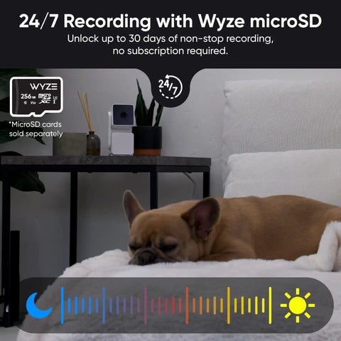 Pan Tilt 360 Degree 1080P WiFi Security Camera With Color Night Vision Outdoor Indoor IP65 Rated on table, dog resting nearby