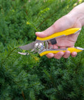 Person using ColorPoint Stainless Steel Compact Pruning Shears With Quarter Inch Cutting Capacity, Heavy Duty Blade, in garden
