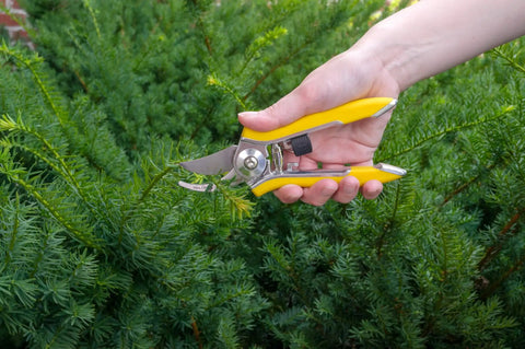 Person using ColorPoint Stainless Steel Compact Pruning Shears With Quarter Inch Cutting Capacity, Heavy Duty Blade, in garden