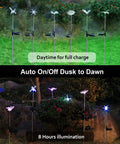 Six Pack Solar Garden Stake Lights Set With Color Changing LED Figurines Including Butterfly Dragonfly Hummingbird Bee Star Sunflower