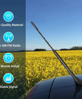 9 Inch Car Radio Antenna Mast For Ford Explorer Focus Ranger Lincoln MKT Mercury Milan Beefed Up Roof Mount Aerial in field