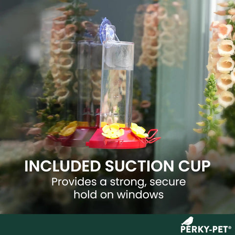 Window Mount Hummingbird Feeder With Perches, 8 Oz Nectar Capacity, Three Feeding Ports, No Fuss Suction Cup Mount For Outdoors