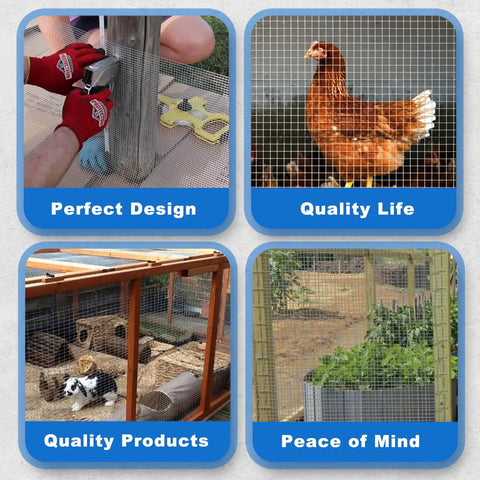 Heavy Duty Half Inch Hardware Cloth 19 Gauge 48 By 100 Feet Mild Steel Wire Mesh Fence Roll in use for chicken coop protection.