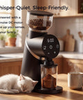 Talia Electric Coffee Grinder With 48Mm Titanium Plated Conical Burrs For Uniform Grinds on kitchen countertop