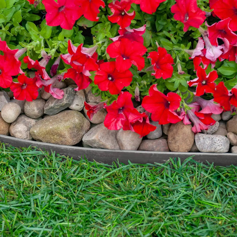 Heavy Duty No Dig Landscape Edging Kit 50 Foot Gray Plastic Edging bordering a flower bed with red flowers and stones