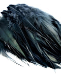 Close-up of Black Saddle Hackle Rooster Feathers Bulk 200 Pcs 5-7 Inch 12-17 Cm Natural For DIY Dream Catcher Decor And Craft Embellishments