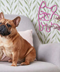 Pink LED Neon Dog Sign For Wall Decor So Cute French Bulldog Night Light USB Powered Glow on wall behind sitting bulldog