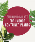 Top Shelf 4 Quart Indoor Plant Potting Mix Loaded With Fast Feeding Fertilizer Keeps Your Container Houseplants Poppin Without Any Drama While Fueling Bold New Leaves Through Spring And Summer with ferns and monstera leaves.