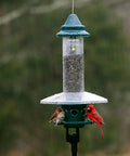 Ultra Squirrel-Proof Bird Feeder With Cardinal Ring And Six Feeding Ports, Large 5.1 Pound Seed Capacity, pole mounted
