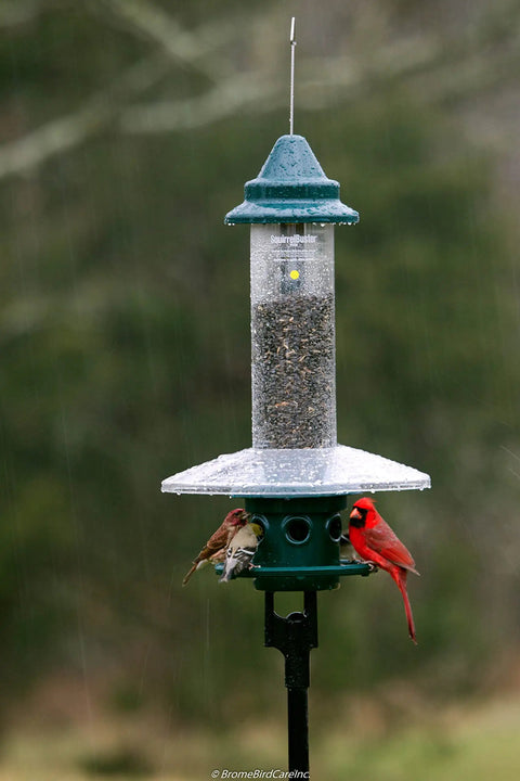 Ultra Squirrel-Proof Bird Feeder With Cardinal Ring And Six Feeding Ports, Large 5.1 Pound Seed Capacity, pole mounted