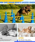 Backyard Dog Agility Training Set With Height Adjustable Crossbar, 12 Detachable Poles And 6 Tall Cones used by a dog