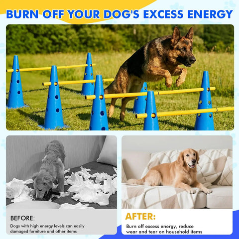 Backyard Dog Agility Training Set With Height Adjustable Crossbar, 12 Detachable Poles And 6 Tall Cones used by a dog