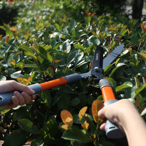 Person using Ergonomic 21 Inch Garden Hedge Shears Pro Grade For Precise Pruning Of Shrubs And Bushes Durable High Carbon Steel Blades