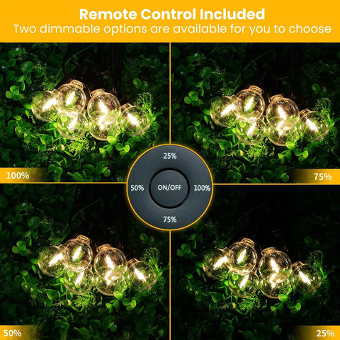 Remote Controlled Outdoor String Lights 150 Feet With 75 Shatterproof LEDs, dimmable settings on greenery background
