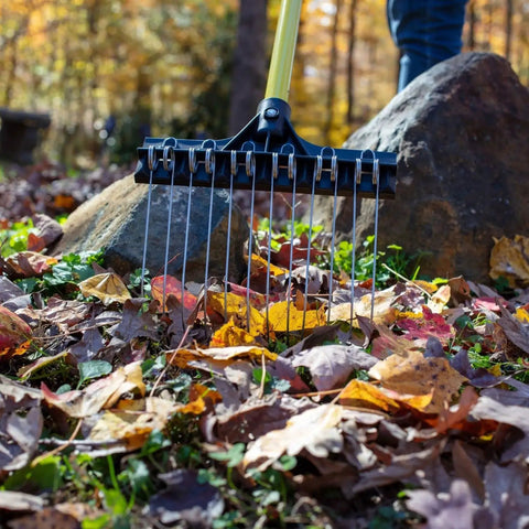 All Purpose Shrub Rake With A 36 Inch Lightweight Fiberglass Handle And A 9 Inch Steel Tine Head used for raking leaves