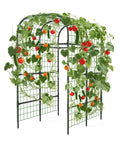 Metal Garden Arch Trellis Black 7.3 Ft with climbing plants, space saving vertical plant support for raised beds, sturdy steel frame.