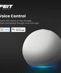 Voice control feature of BR30 Smart Flood Light Bulb With 2.4GHz WiFi RGBW Color Changing And Dimmable Lighting No Hub Needed Works With Alexa Or Google Assistant 65W Easy App Control And Shared Access For Your Home Vibe supporting Alexa and Google Assistant.