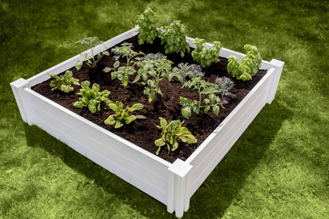 White Vinyl Raised Garden Bed 4 Ft By 4 Ft By 11 In Deep, Modular PVC Construction, BPA And Phthalate Free, filled with plants