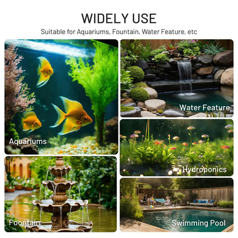 Image showing diverse uses: aquariums with fish, garden water feature, hydroponic plants, decorative fountain, and swimming pool.