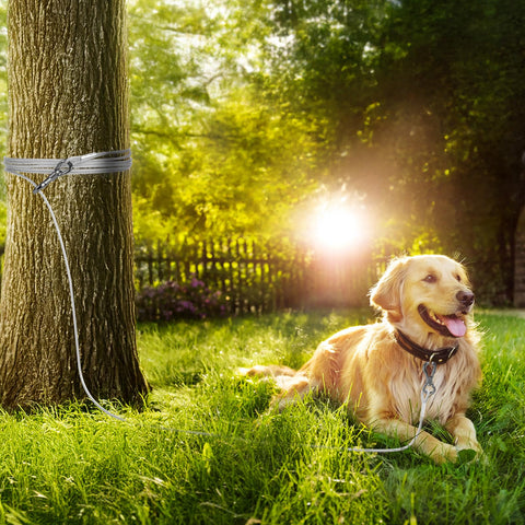 Happy dog secured with 15Ft Reflective Tie Out Cable For Dogs Up To 250 Pounds under a tree, sunny outdoor setting.