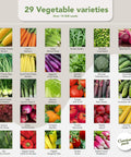 Image showing 29 vegetable varieties from the Dope Garden Seed Kit With 50 Veggie, Herb And Flower Varieties For Easy Planting, 25,000 Non GMO Heirloom Seeds, High Germination Rates, The Ultimate Gift For Men And Women Into Growing Their Own Food.