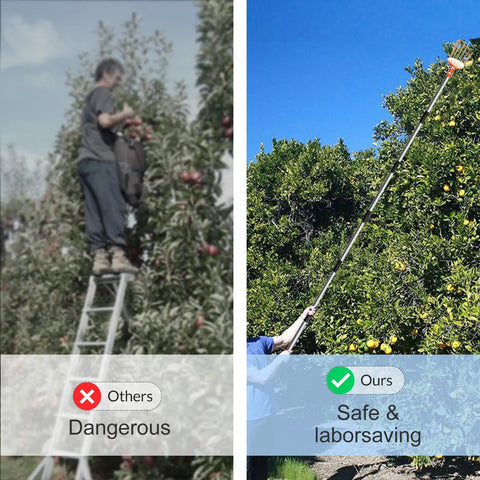 Adjustable 8Ft Fruit Picker Tool With Lightweight Stainless Steel Pole And Large Round Basket, Fruit Catcher For Apples, Oranges, Mangoes, Pears, Avocados, Easy Soft Landing Pad To Prevent Bruises