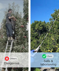 Comparison of ladder harvesting vs Go To 13 Foot Adjustable Stainless Steel Fruit Picker Pole With Large Metal Basket and Soft Pad.