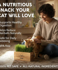 Woman sitting with cat next to Indoor Cat Grass Kit With Four Seed Packets, Wooden Planter, Coconut Coir Soil Discs, And Mini Tools.