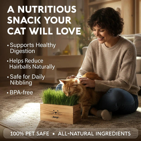 Woman sitting with cat next to Indoor Cat Grass Kit With Four Seed Packets, Wooden Planter, Coconut Coir Soil Discs, And Mini Tools.