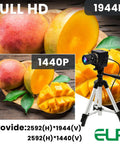 Global Shutter USB Camera With 10X Telephoto Zoom 5 To 50Mm Varifocal CS Mount capturing detailed mango images in 1440P 60fps.
