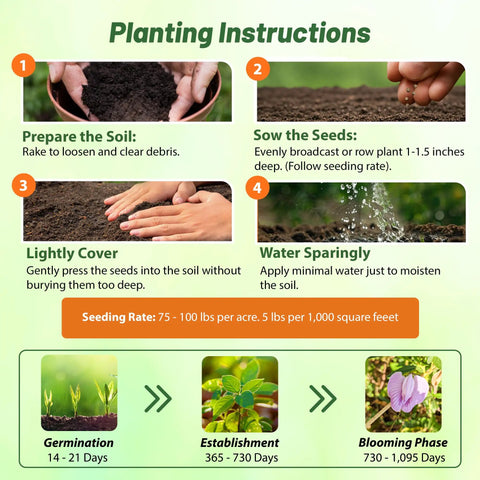 Planting instructions for Austrian Winter Peas Seeds For Planting 10 Lb Bag Cool Season Cover Crop high protein deer food plot seed guide.