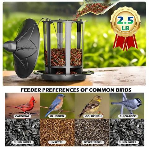 Two Pack Outdoor Hanging Bird Feeders With Quick One Minute Setup And Charming Castle Design Attracting Cardinals Chickadees Goldfinches And Sparrows Black Easy To Assemble For Family Fun And A Great Gift