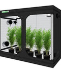 Heavy Duty 8x4 Grow Tent For Indoor Gardens, 96x48x78 Inch Hydroponic Indoor Grow Tent With Window, 600D Mylar Reflective Lining, Sturdy Steel Frame, Includes Kit Bag And Floor Tray with plants inside