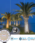 All In One Versatile LED Bullet Flood Light With 20W 30W 40W Options, 3CCT 3000K 4000K 5000K, illuminating palm trees at night