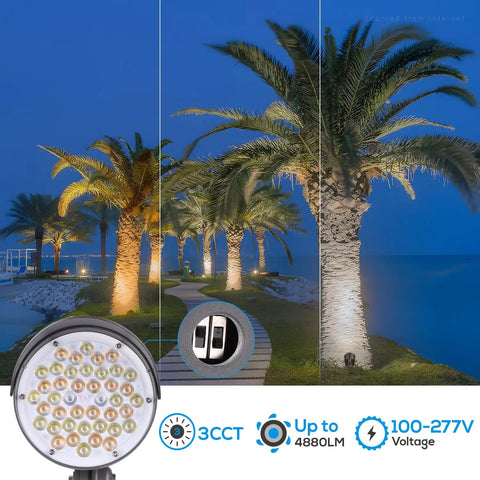 All In One Versatile LED Bullet Flood Light With 20W 30W 40W Options, 3CCT 3000K 4000K 5000K, illuminating palm trees at night