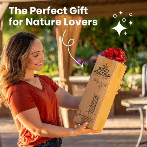 Woman holding boxed Squirrel-Proof Outdoor Bird Feeder That Delivers Mealworms And Seeds, Large 3-Pound Capacity, weather-resistant.