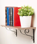 Wall-mounted shelf with books and potted plant, demonstrating Self-Drilling Drywall Anchors Kit With Screws And Wall Plugs in use.