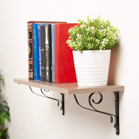 Wall-mounted shelf with books and potted plant, demonstrating Self-Drilling Drywall Anchors Kit With Screws And Wall Plugs in use.