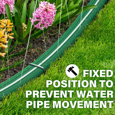 Heavy Duty Sprinkler Hose With Holes 50Ft For Lawn And Garden High Efficiency Watering System With Three Tube Design Delivers Even Coverage And Water Saving Spray Height Easy Setup With Staples secured on lawn and flowers