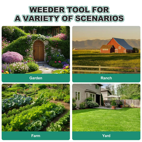 Triangle Hand Hoe With Short Wood Handle For Easy Weeding And Edging A Durable Stainless Steel Winged Weeder for garden use