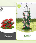 Image showing before and after using 2 Pack Garden Obelisk Trellis For Climbing Vines Adjustable 35 To 70 Inch Plant Support.