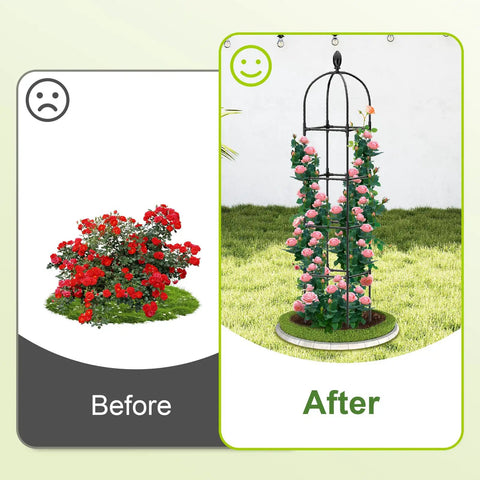Image showing before and after using 2 Pack Garden Obelisk Trellis For Climbing Vines Adjustable 35 To 70 Inch Plant Support.