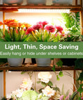 Ultra Thin 40W Full Spectrum Grow Light Panel With 768 LEDs For Indoor Plants Daisy Chain Ready Four Pack Seed Starting Auto On Off Timer With Four Eight Twelve Sixteen Twenty Hour Options illuminating plants on shelf