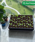 54 Cell Seed Starter Tray Set 2.8 Inch Deep Plug Trays For Easy Germination And Transplantation Reusable 5 Pack next to plants